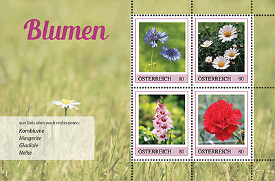 Briefmarke, Blumen - Kornblume