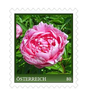 Briefmarke, Pfingstrose