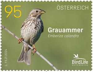 Briefmarke, Grauammer