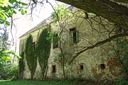 Schloss Illmau - Foto: Burgen-Austria