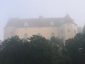 Schloss Greinburg im Nebel, Foto: Mussklprozz. Aus: WikiCommons 