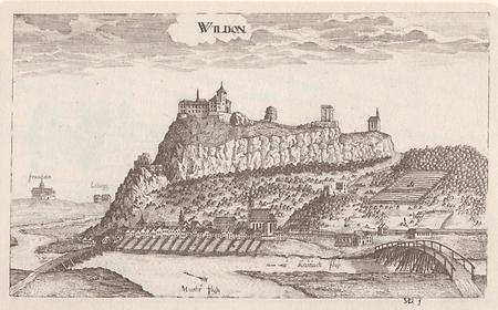 Burg Wildon