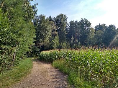 Werbetafel fürs 'Wurmschachern'