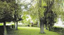 Jüdischer Friedhof in Trautmannsdorf bei Bad Gleichenberg