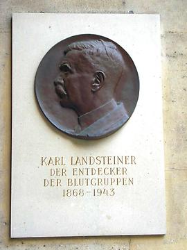 Karl Landsteiner