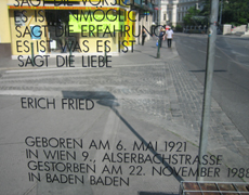 Gedicht die liebe erich sagt fried Buchkomplizen