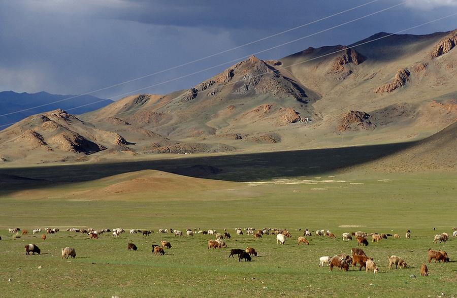 Talweide in rund 2200 m Seehöhe im Altaigebirge der Westmongolei zu Frühlingsbeginn Anfang Juni