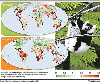 Weltkarte bedrohter Tierarten