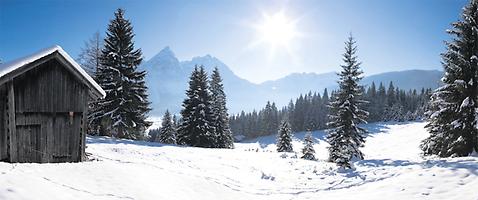 Österreichs Wälder