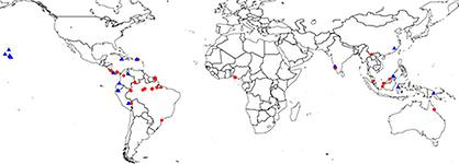 Standorte der 105 pantropischen Regenwälder