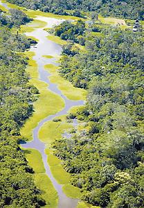Vertrocknet der Amazonas?