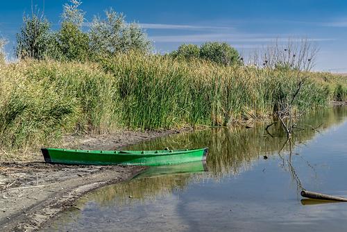 Wasser ist Leben. Spätestens wenn es schwindet, sollte das Nachdenken einsetzen.