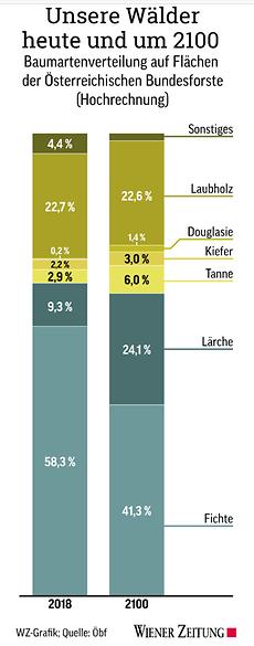 Wälder heute und um 2100