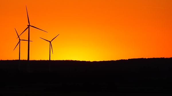 Windräder in der Wüste