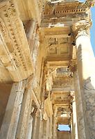 Celsus