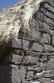 Thatched roofs