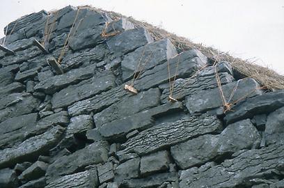 Thatched roofs