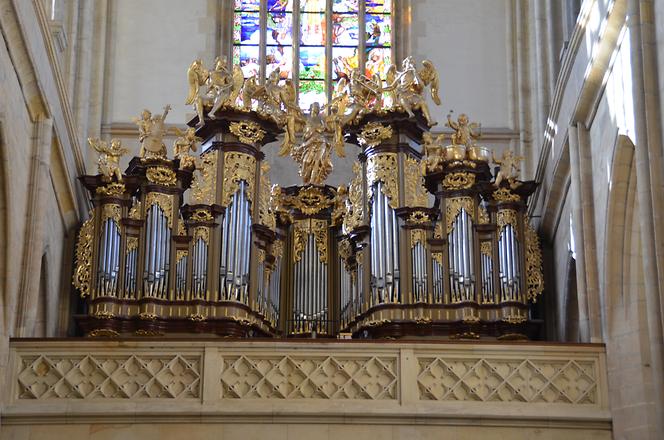 Bergmannskirche, Orgel