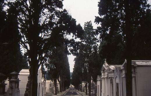 Friedhof Lissabon