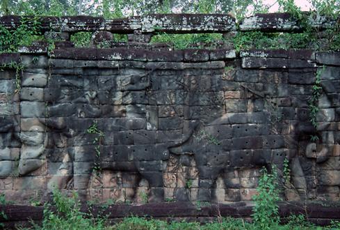 The elephant terraces had to be freed from vegetation partially before taking pictures.