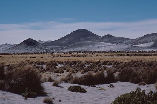 Typische Landschaft der semiariden Sajama südlich von Lagunas