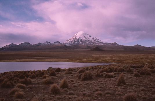 Der Nevado Sajama dominiert die Landschaft in einem großen Radius