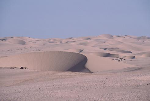 Typical crescentic dunes shifting slowly over the processional way.