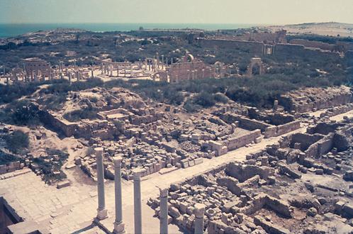 Blick über die ausgedehnten Ruinen von Leptis Magna.
