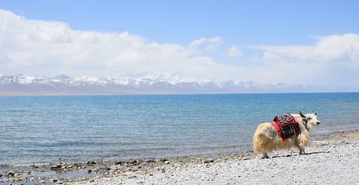 Lake Namthso