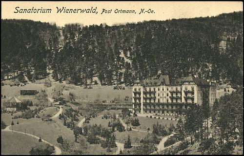 Das Sanatorium Wienerwald auf einer Ansichtskarte von 1916 (Verlag Ledermann)