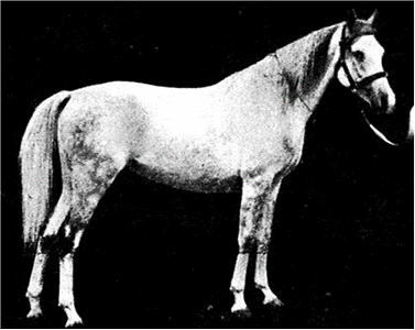 Bosnien