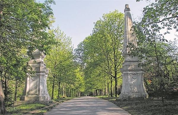 Beliebtes Ausflugsziel: die sogenannte 'Schwarzenbergallee' in Neuwaldegg.