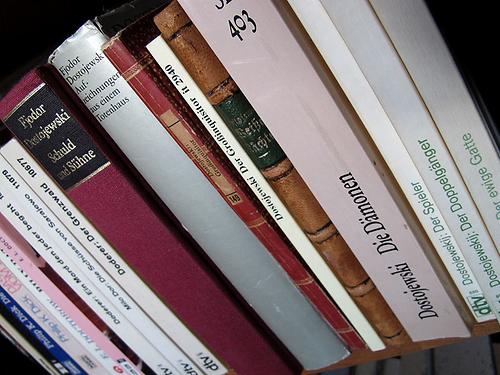 Ich brauche keine sauberen, homogenen Bücherreihen in meinem Zuhause. Der Wildwuchs regiert. (Foto: Martin Krusche)