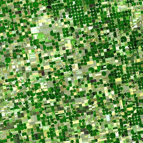 Satellitenbild von Anbaufeldern in Kansas [1] – (Foto: NASA, public domain)