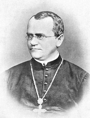 Mendel wurde am 20. Juli 1822 in Heinzendorf bei Odrau im heutigen Tschechien geboren.