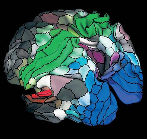 Landkarte des Gehirns