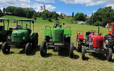 Ein Steyr Oldtimer Trio (vermutlich T80, T84 und T180) auf dem Feld.
