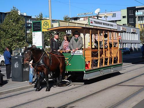 Diese Pferdetramway in der Bauweise von 1878 wird von einer Noriker-Stute gezogen. (Foto: Martin Krusche)