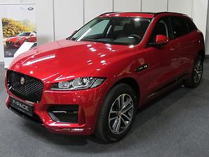 Der F-Pace wurde zum ersten Jaguar-SUV. (Foto: Martin Krusche)