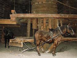 Maschinenantrieb per Hafermotor: Pferde-Göpel, genauer: Rundgöpel (Foto: Wieliczka, Poland, Public Domain)