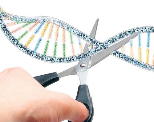 DNA-Doppelhelix mit Schere