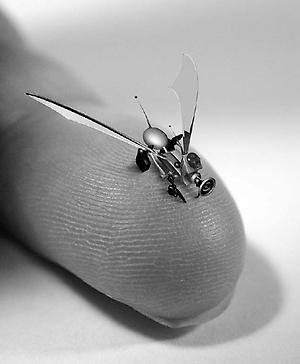 Das Innenleben der Roboter-Fliege