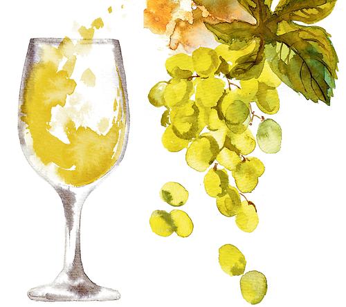 Aquarell Weinglas und Weintrauben