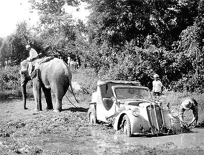 Elefant rettet Max Reisch mit dem 'Steyr 100'