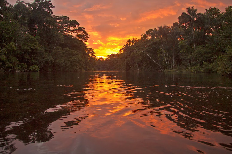Cuyabeno Nationalpark, im Flussgebiet des Amazonas-Zubringers Napo (Foto: Isaac Mallol auf Google Earth)