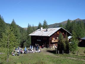 Filzmoosalm-Hütte-1