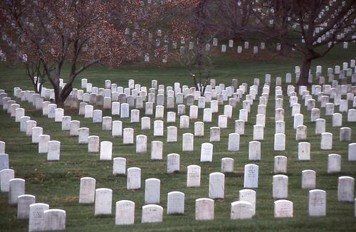 Arlington cemetery essay image