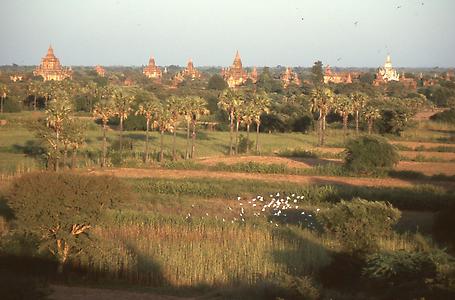 myanmar