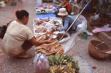 Mekong