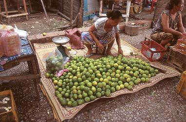 Mekong